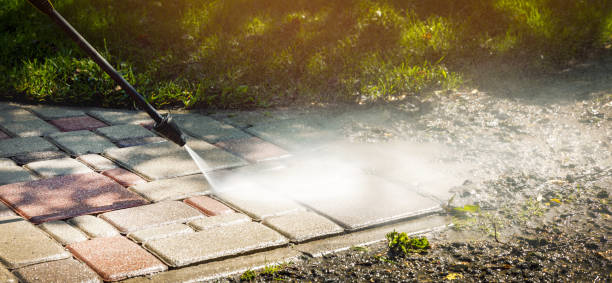 Solar Panel Cleaning in Indian Lake, TX